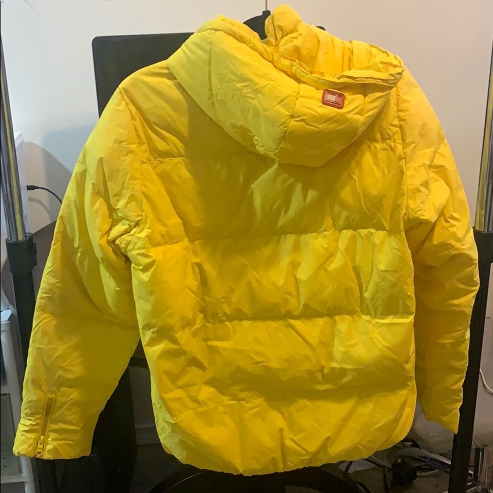 Yellow jacket - Picture 4 of 4